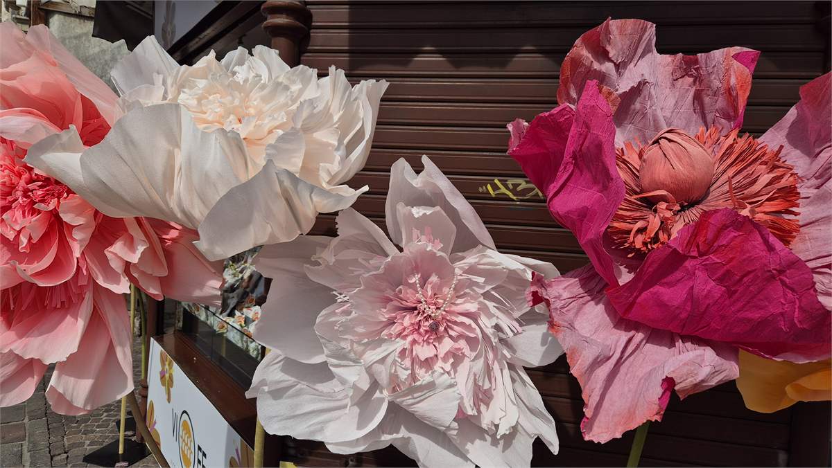 Große farbenfrohe Papierblumen als fertige Workshop-Arbeiten